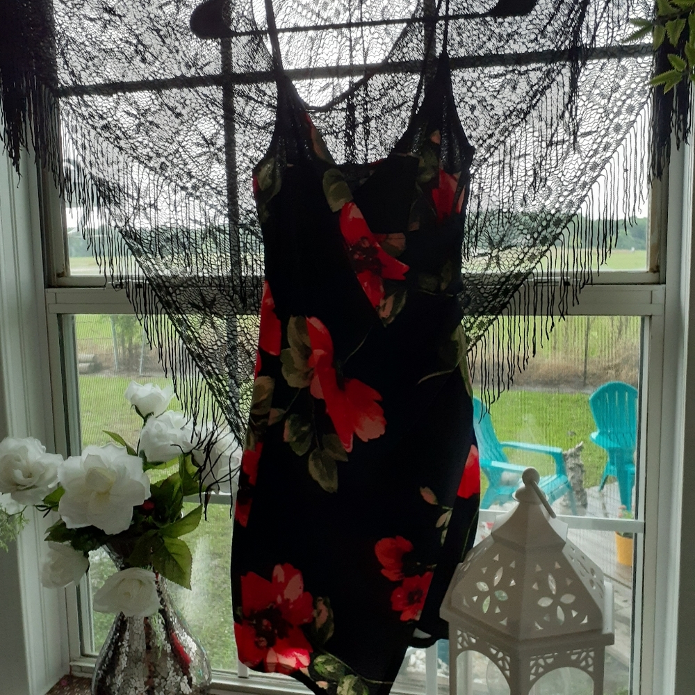 Beautiful  Ladies Dress